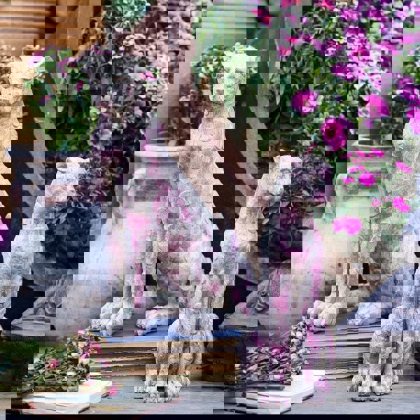 AN2 Garden Decoration, A Set Of Two Dog Statues-Weilai Concept-Weilai Concept