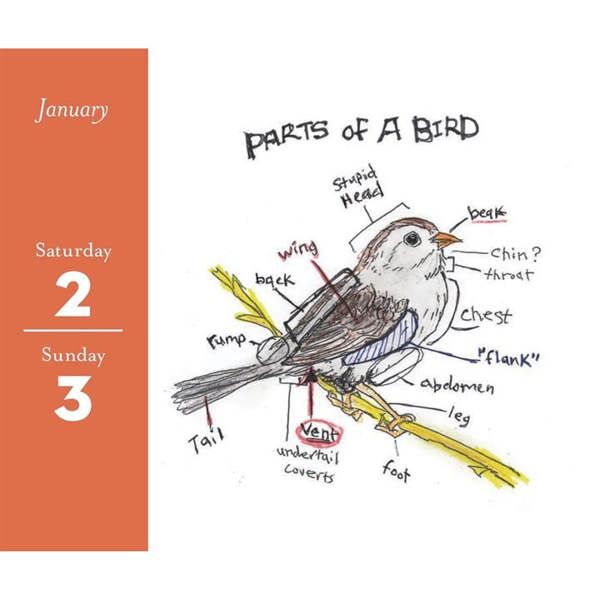 Chronicle Books The Field Guide To Dumb Birds Desk Calendar 2027, Desk Calendars, Day To View, Animals, Gift