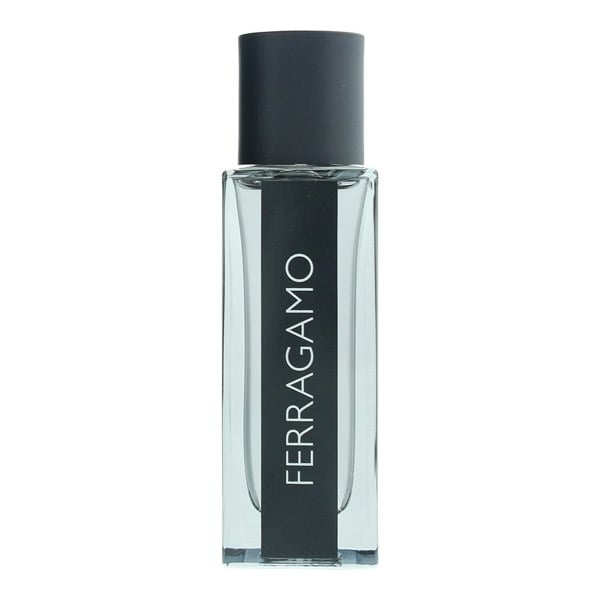 Salvatore Ferragamo Ferragamo Travel Spray Eau de Toilette 30ml for Him