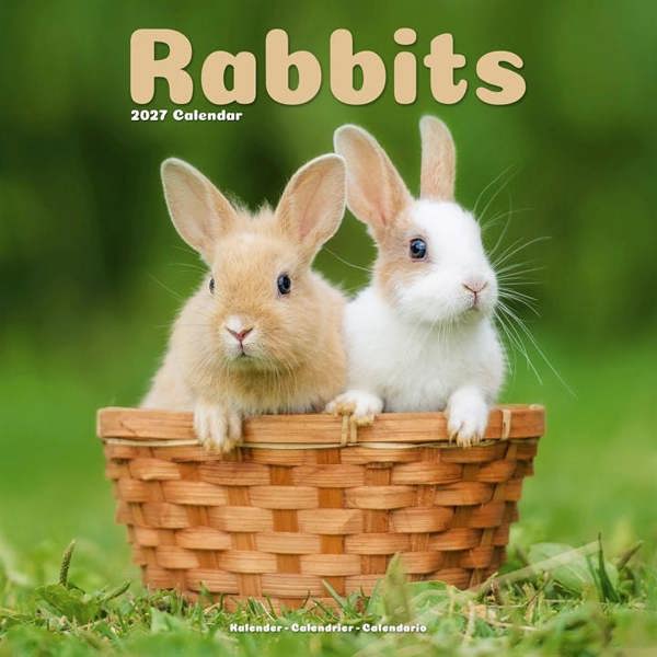 Rabbits Calendar 2027, Wall Calendars, Month To View, Animals, Gift