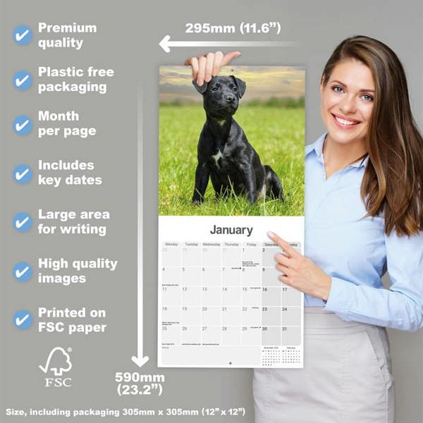 Patterdale Terrier Calendar 2027, Wall Calendars, Month To View, Dogs, Gift