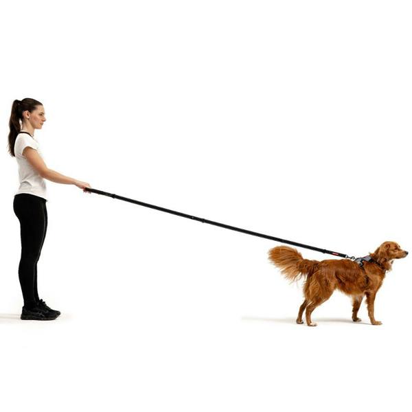 EzyDog Vario 6 Multifunctional Dog Lead in Black