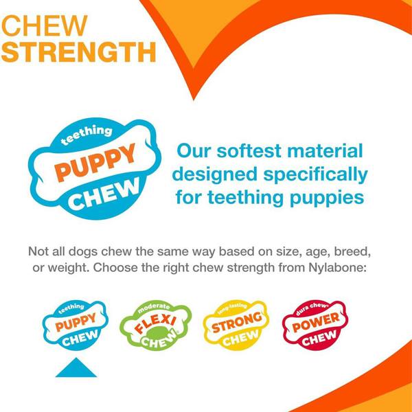 Nylabone Gentle Puppy Teething Chew Toy Keys, Bacon Flavour, Small