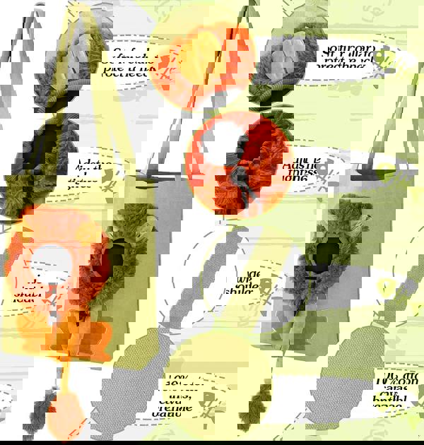 Anywags Anypet Cat Handbag 40cm Light Gray 3D Lion Soft Collar Pets Carrier Luggage Small Dog Travel Tote Bag With Pet Canvas