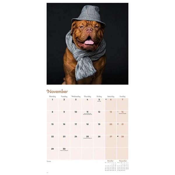 Dogs in Disguise Calendar 2027, Wall Calendars, Month To View, Humour, Gift