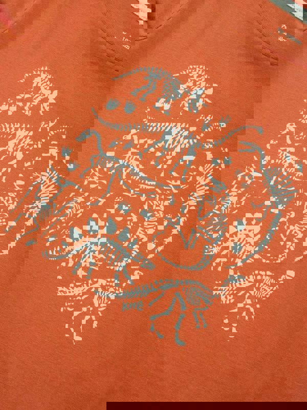Kite Boys Organic Dino Discovery T-Shirt