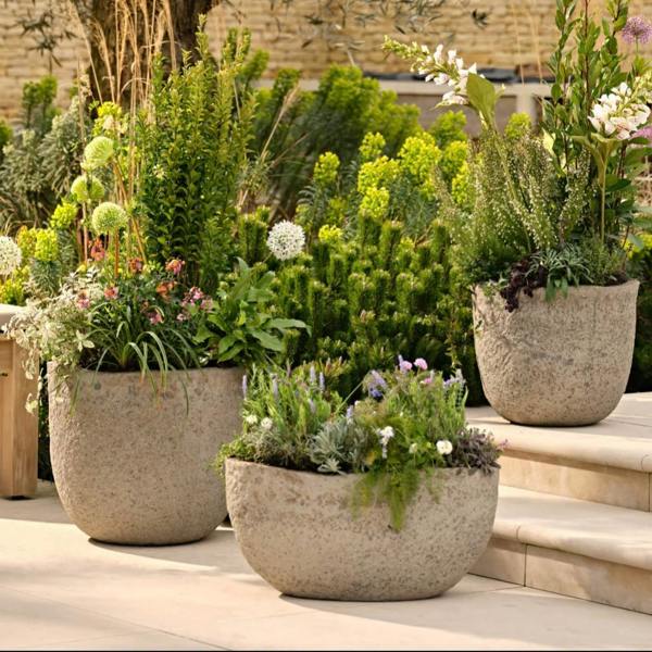 Three organic-shaped Cranford Ficonstone Garden Planters of varying sizes arranged on stone garden steps, densely planted with white Alliums, purple lavender, and architectural greenery.