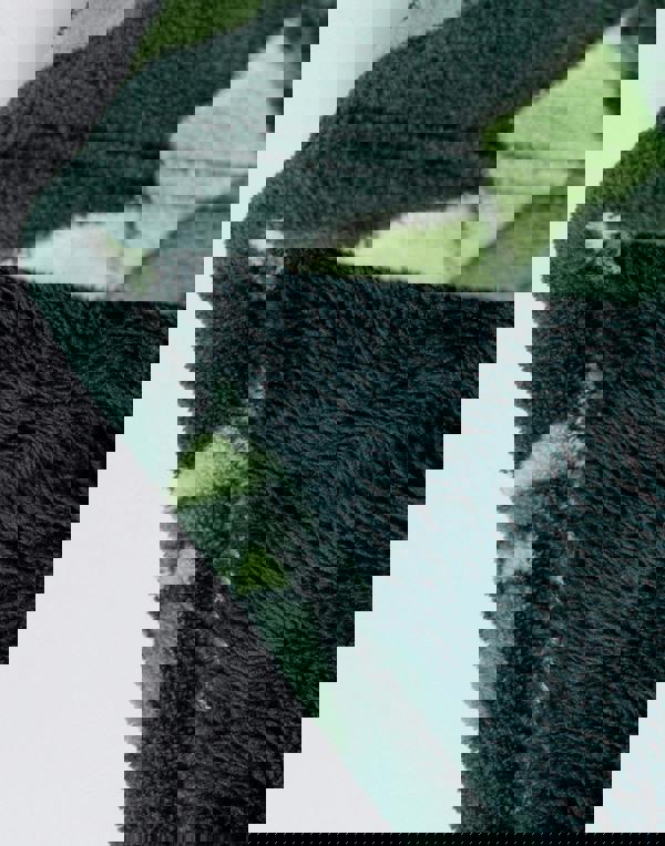 Minecraft Boys Green Creeper Blanket Hoodie (One Size)