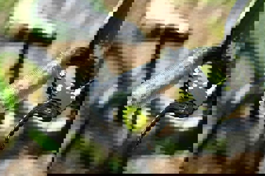 Huffy Delirium 16" Kids Bicycle - Grey/Green