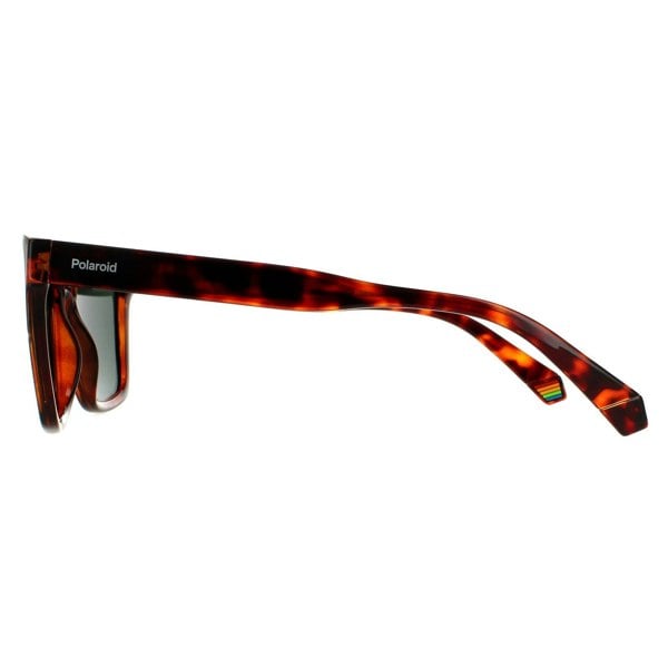 Polaroid Sunglasses PLD 6176/S 086 UC Dark Havana Green Polarized