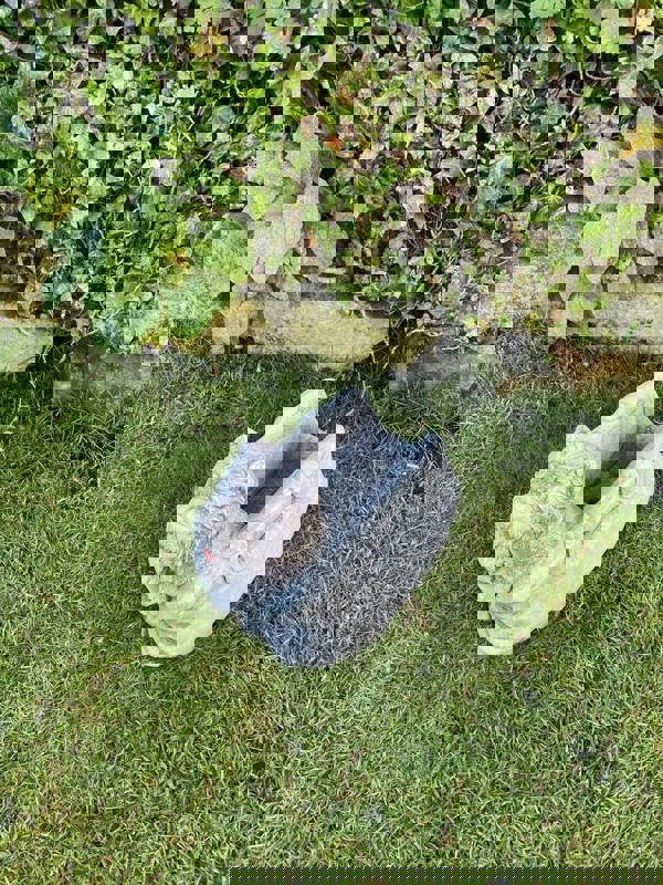 Puppy in Bag Stone Planter