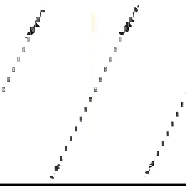 Mountain Warehouse Nordic Left Trekking Pole Set - Black - 