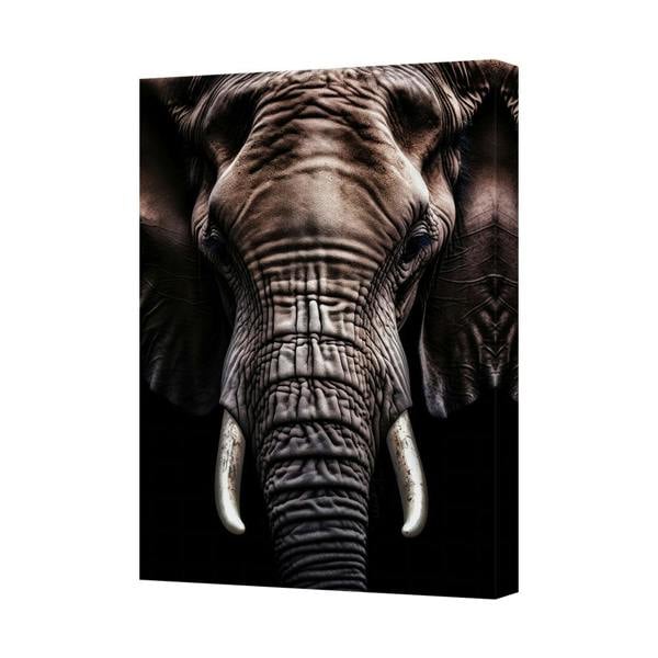 Benjamin Tate Design Elephant Head Close Up Canvas Wall Art Portrait Print