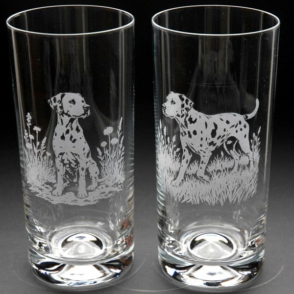 Glyptic Glass Art Dalmatian Dog Highball Glass - Hand Etched/Engraved Gift