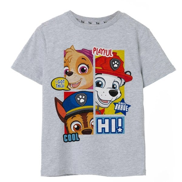 Paw Patrol Boys Peekaboo T-Shirt - Grey Marl