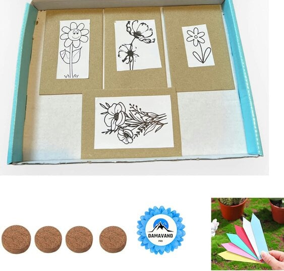 Childrens Gardening Kit: Wildflower Plant Growing Kit for Kids