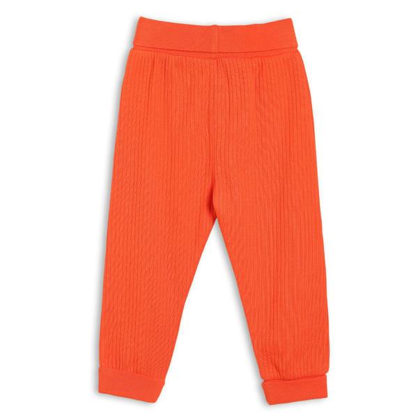 Mini Cuddles Baby Boys 3pk Printed & Solid Joggers, Multicolour