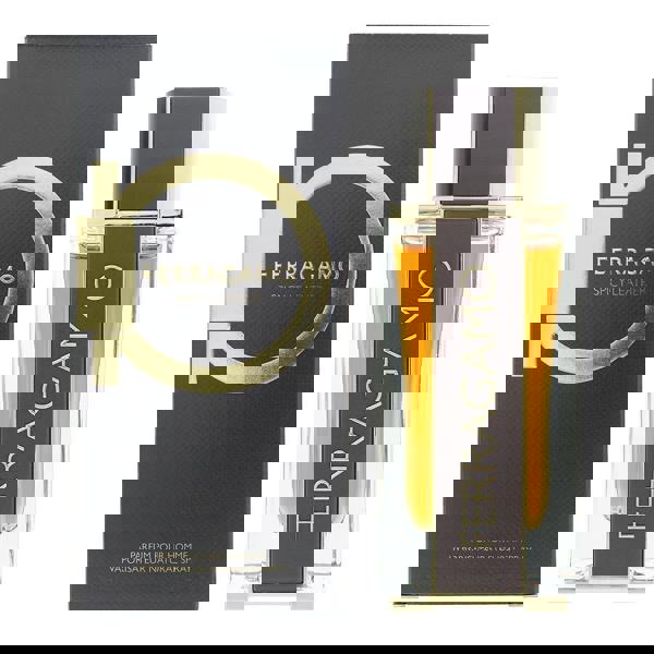 Spicy Leather Salvatore Ferragamo Spicy Leather Eau De Parfum 100ml