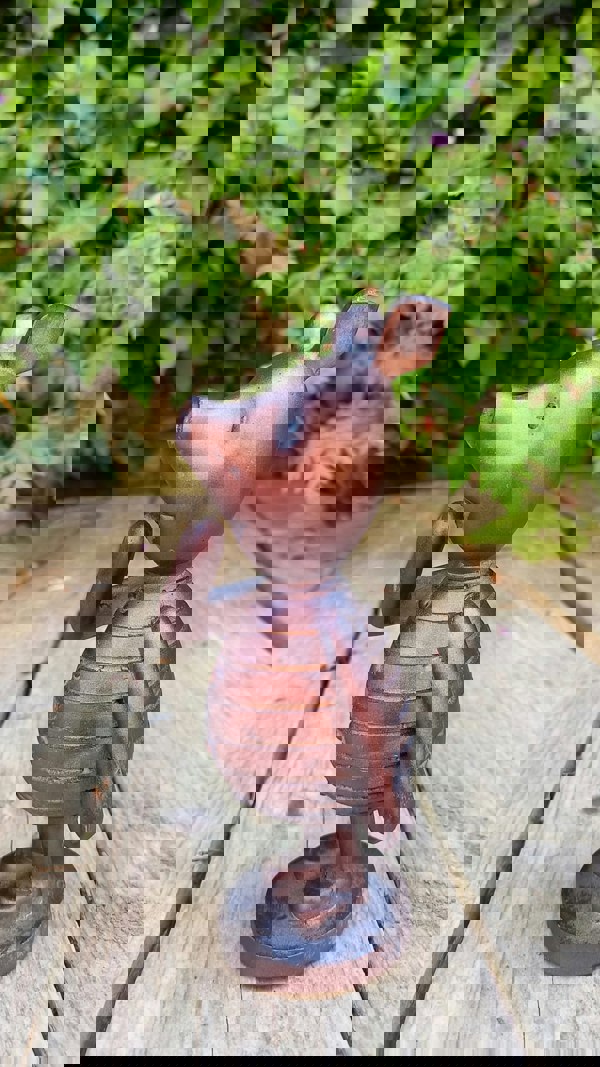 Inspirational Gifting Piglet Garden Sculpture Ornament Decor