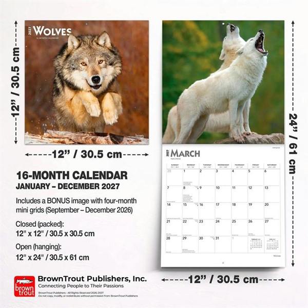 Wolves Calendar 2027, Wall Calendars, Month To View, Animals, Gift