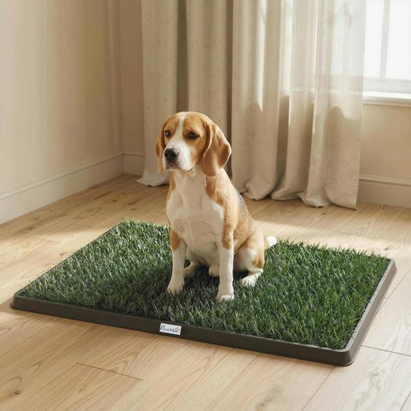 Dog Toilet