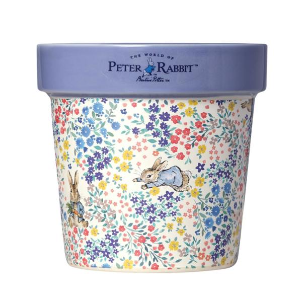 Peter Rabbit Candle Peter Rabbit Forget Me Not Plant Pot Candle