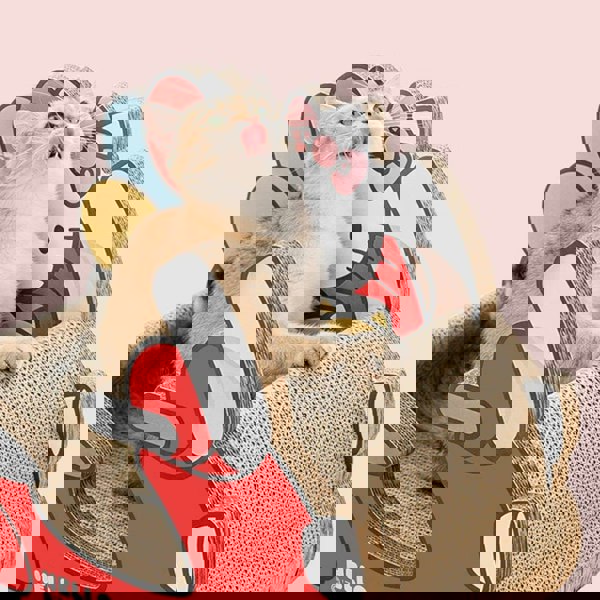 Pipi's Car, Cat Scratching Post, Cat Scratchers, Cat Toy, Cardboard-Weilai concept-Weilai Concept