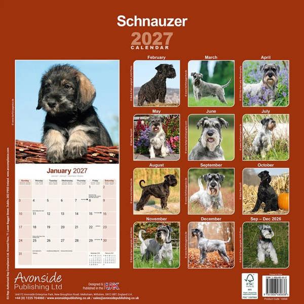 Schnauzer Calendar 2027, Wall Calendars, Month To View, Dogs, Gift