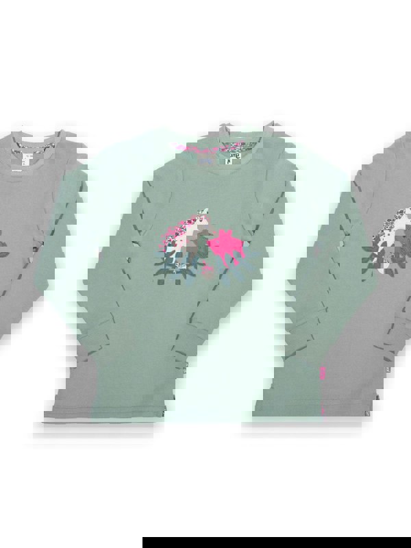 Kite Girls Organic Pig Pannage Sweatshirt