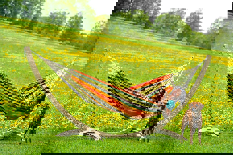 Paradiso Hammock Esmeralda