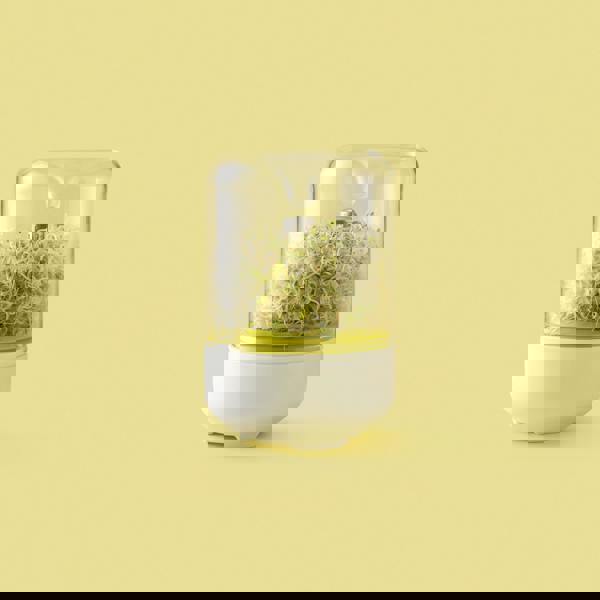 Chef'n Countertop Sprouter™ Growing Kit