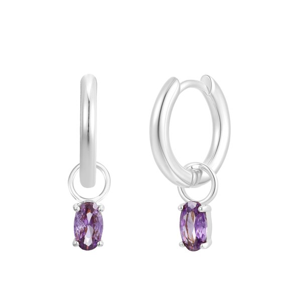 Gold Trip February Birthstone Earring Charm
