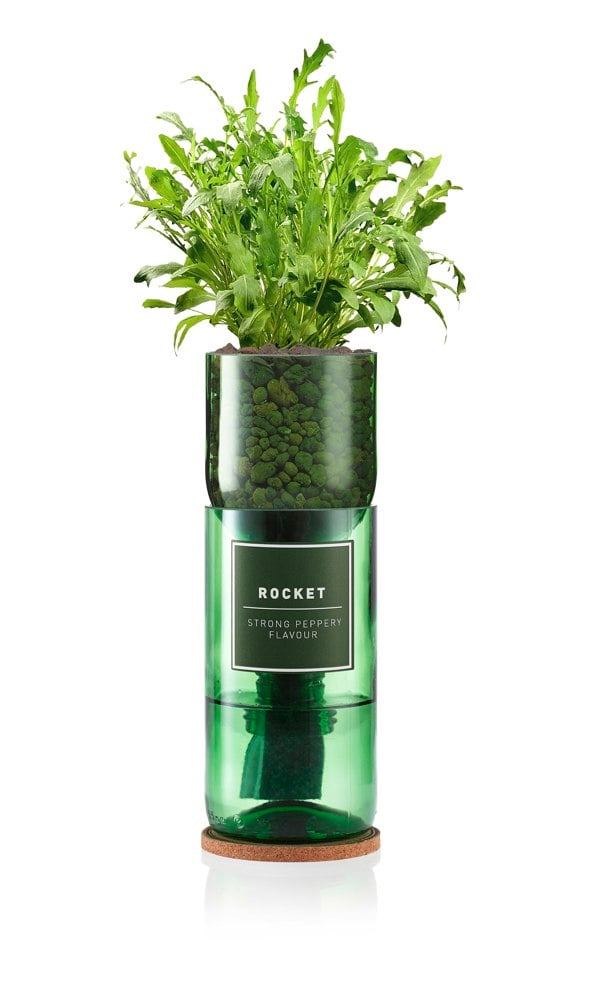Urban Farm-It Hydro-Herb Rocket Kit
