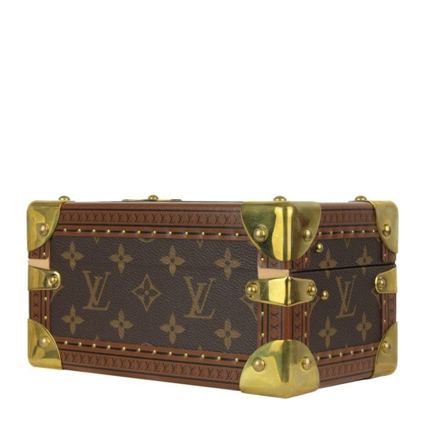 Louis Vuitton Case