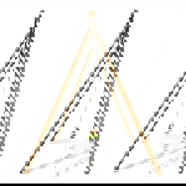 Soulet Arthur Double Wooden Swing Set with Rope Ladder