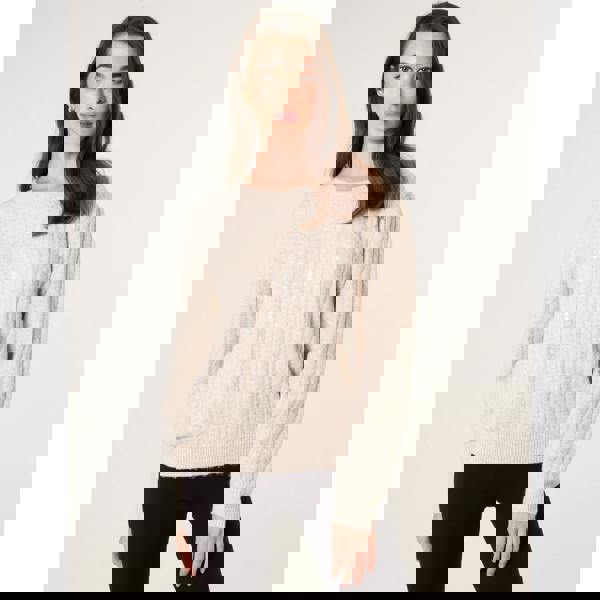 Blue Vanilla Round Neck Jumper With Sequin