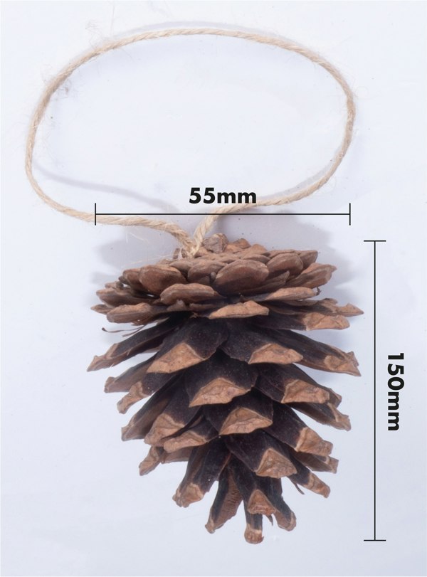 St Helens Brown Hanging Pinecones - Set Of 6