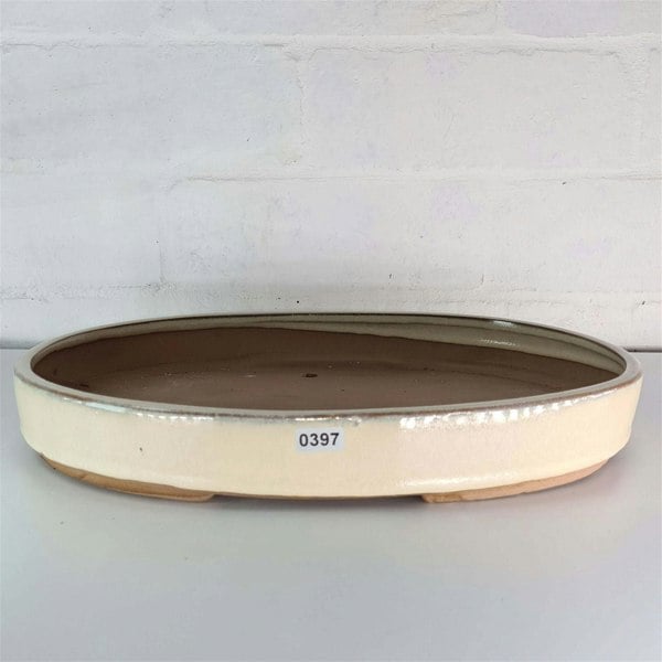 32cm Glazed Bonsai Pot | Oval | 32cm x 23cm x 4.5cm | Cream - Yorkshire Bonsai