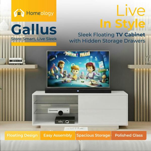 Homeology Gallus High Gloss White with 2-White Drawers and 3-Shelf 32"-55" LED/OLED/LCD TV Cabinet