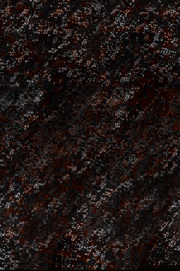 Flutter Sleeve Lace A-Line Maxi Dress - Black DR4361