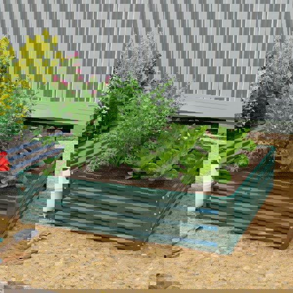 Garden Bed