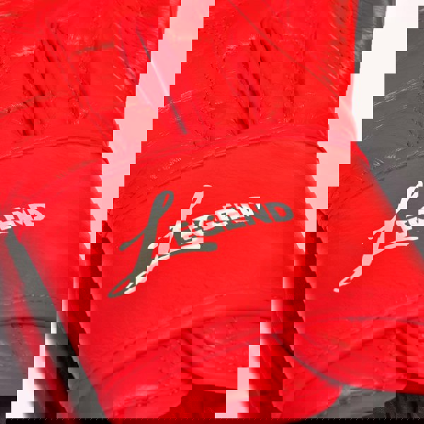 Tuf Wear Legend Leather HOOK AND LOOP Sparring Gloves