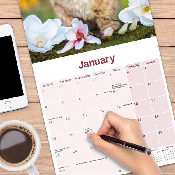 Shih Tzu Calendar 2027, Wall Calendars, Month To View, Dogs, Gift