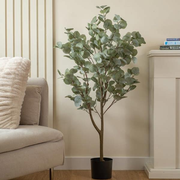 Scottish Everlastings 120cm Eucalyptus Tree