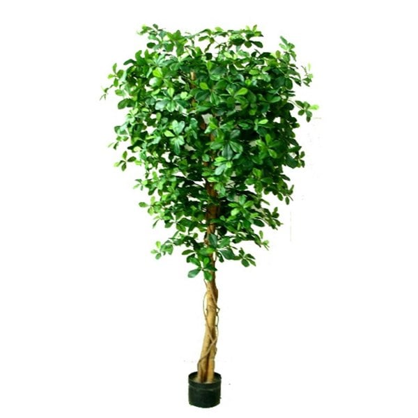 Leaf 180cm Fire Retardant Black Olive Tree with 2925 Leaves and Natural Trunk