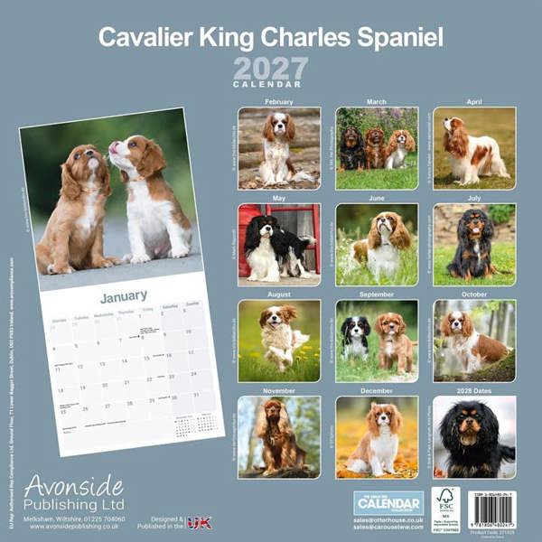 Cavalier King Charles Spaniel Calendar 2027, Wall Calendars, Month To View, Dogs, Gift