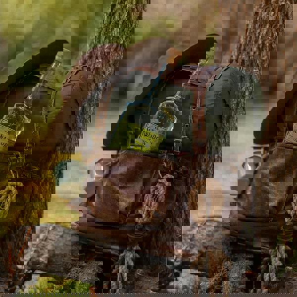 El Gobernador Chilean Pisco 70cl 40% ABV