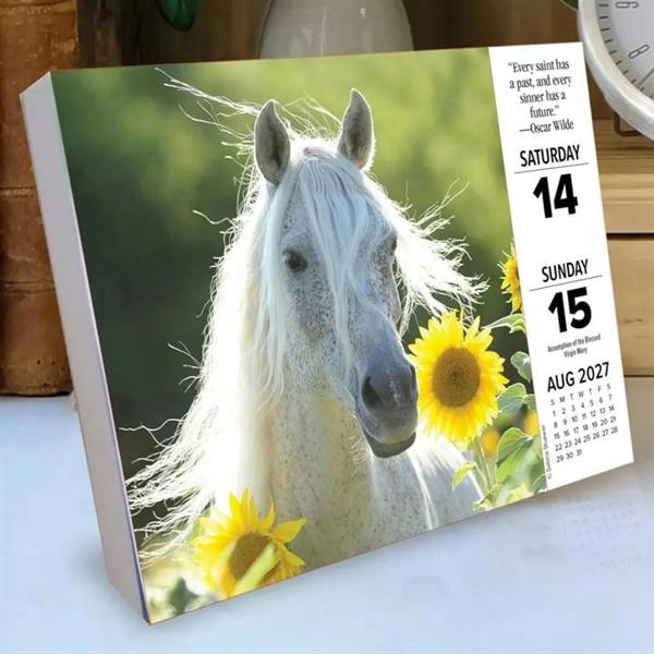What Horses Teach Us Desk Calendar 2027, Desk Calendars, Day To View, Animals, Gift