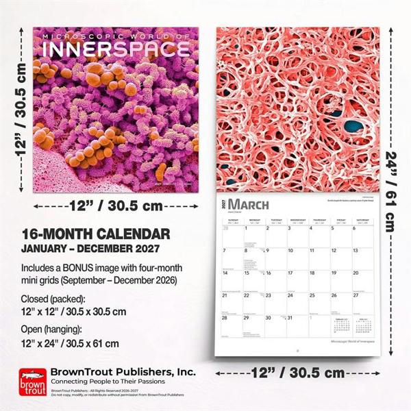 Microscopic World of Innerspace Calendar 2027, Wall Calendars, Month To View, Natural World, Gift