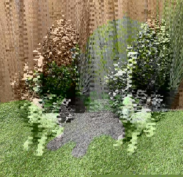 Adorable Small Lying Spaniel Ornament